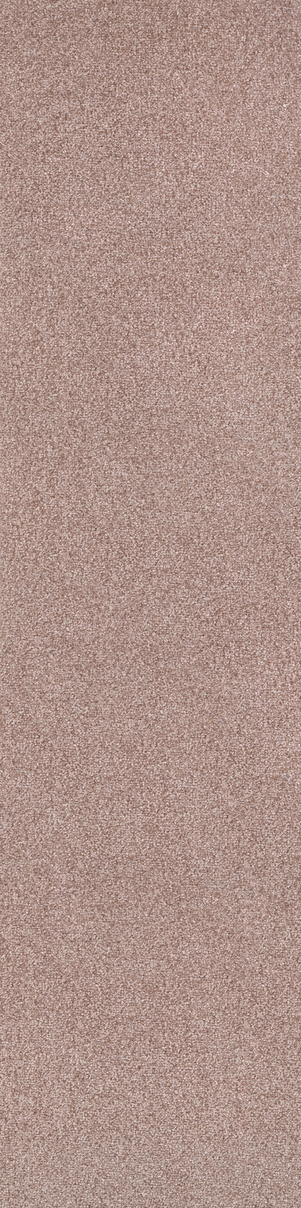 520