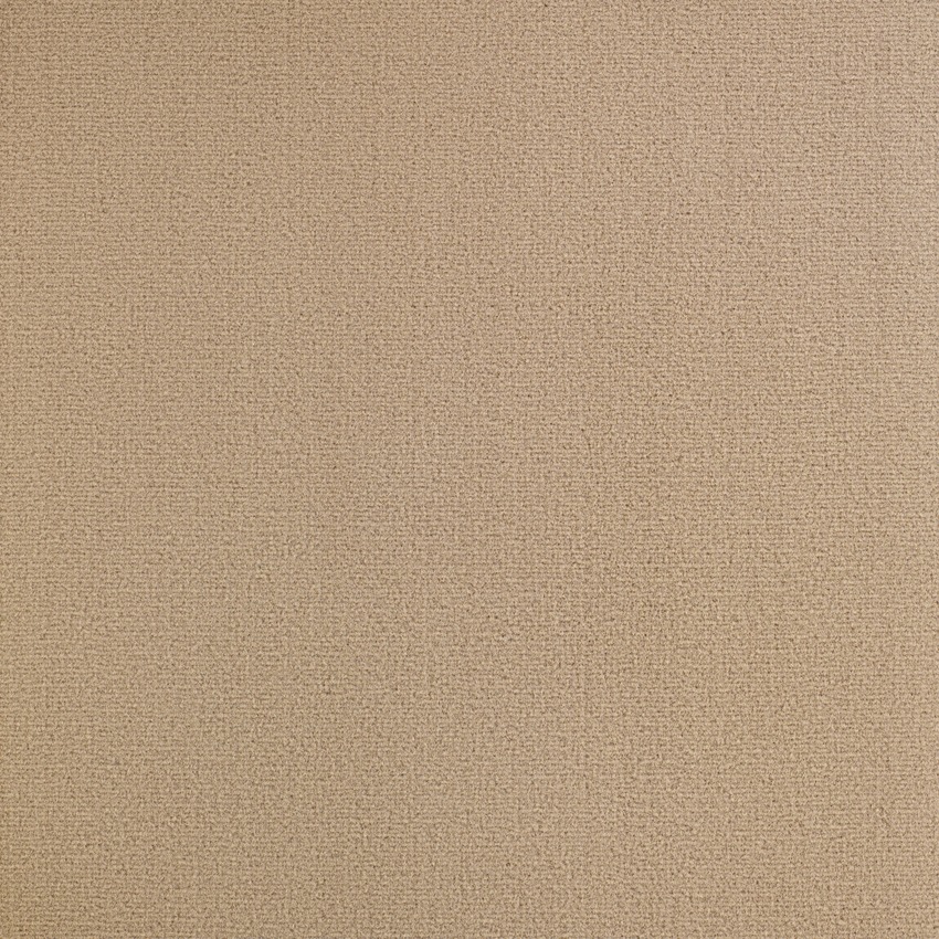 Sesame 605