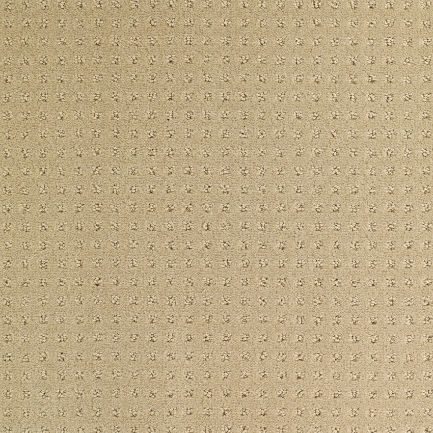Dune 621