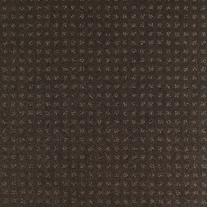 Wenge 691