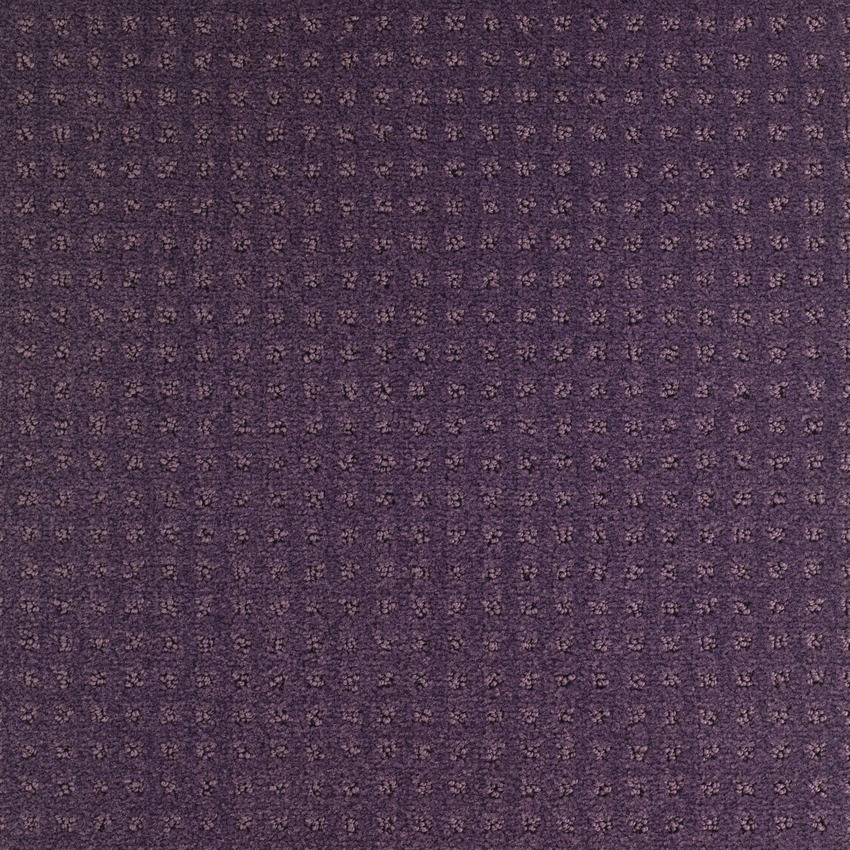 Raisin 871