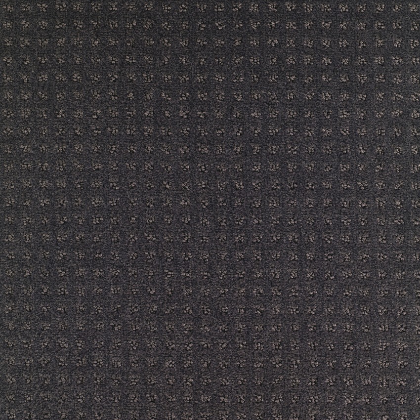 Anthracite 981