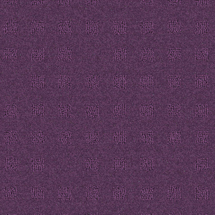 Raisin 871