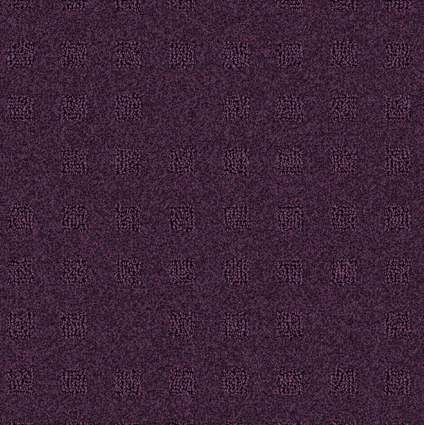 Prune 891