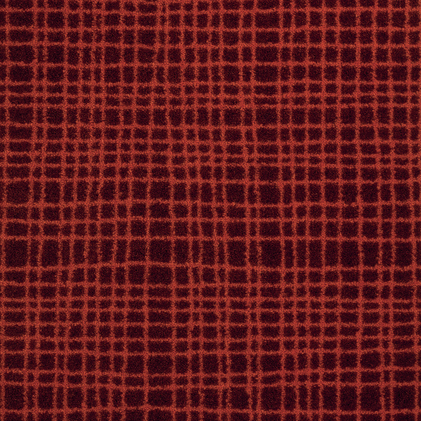 Ambre 460