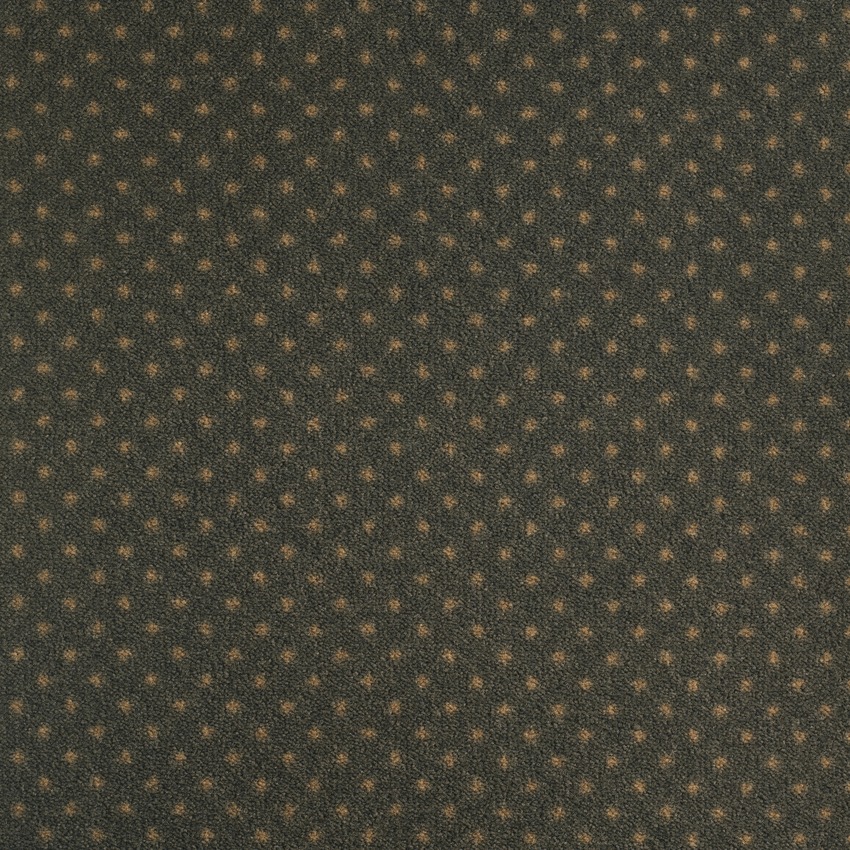 Coriandre 970