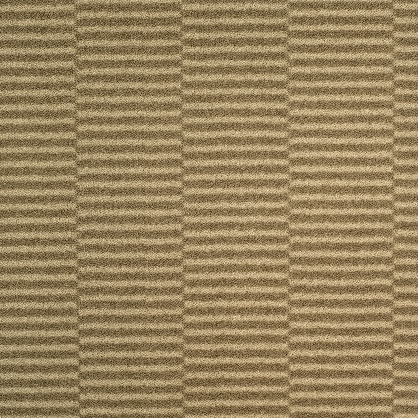 Sesame 630