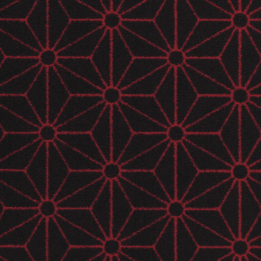 Opera 575