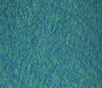 831_Blue_Lagoon