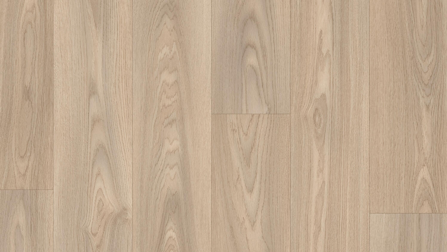 Citizen Oak Medium Beige