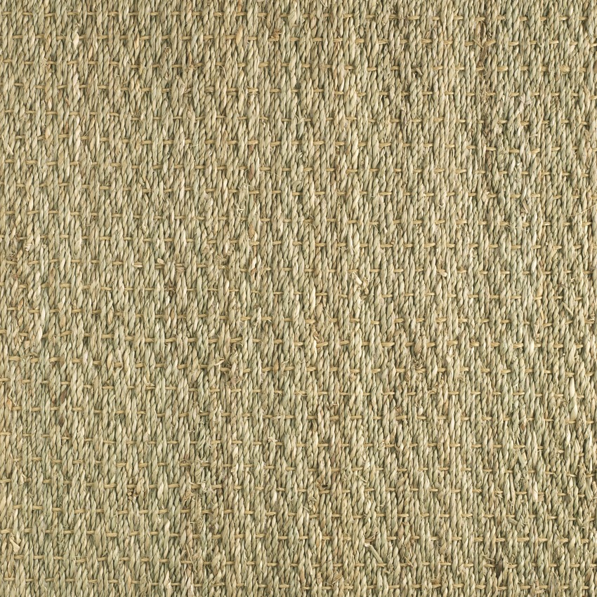 650