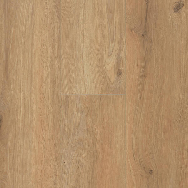 Gyant XL Warm Natural