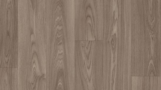 CITIZEN OAK DARK GREY