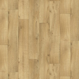 Arcadia Middle Natural