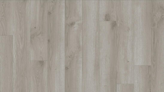 Contemporary_Oak_Grey