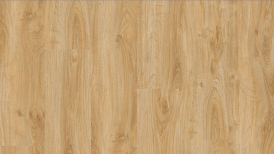 English_Oak_Classical