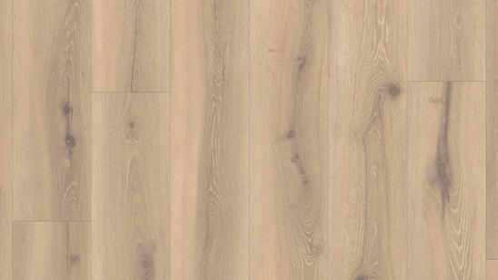 Forest_Oak_Nutmeg