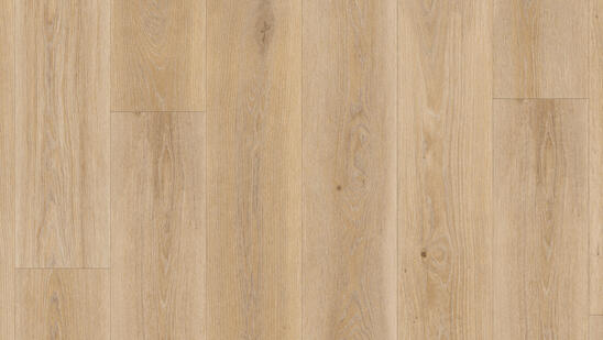 Highland_Oak_Golden